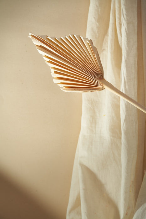 PALM LEAVES