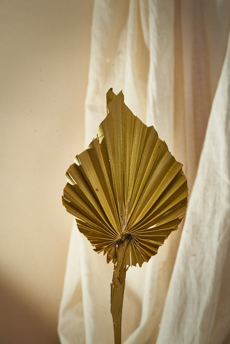 PALM LEAVES